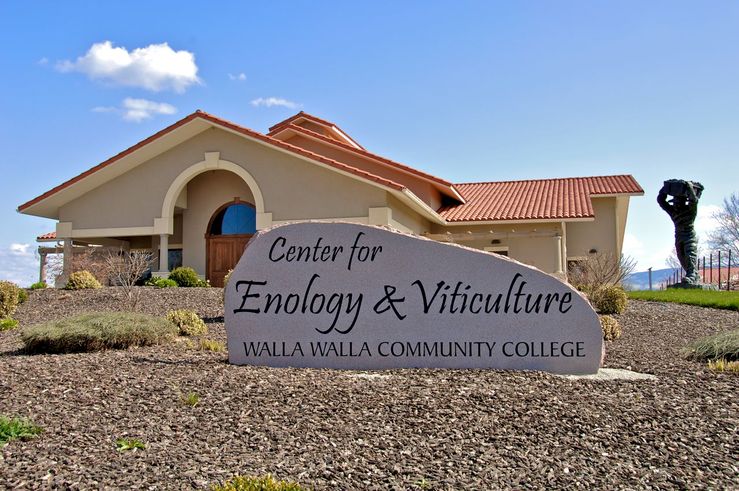 College Cellars Enology&Viticulture_2